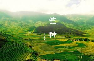 芒種|來湖州影視城，盡享仲夏好時光！